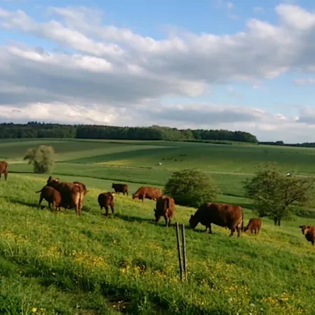Spatzennest 86 Qm By Interhome Lejlighed Burtenbach